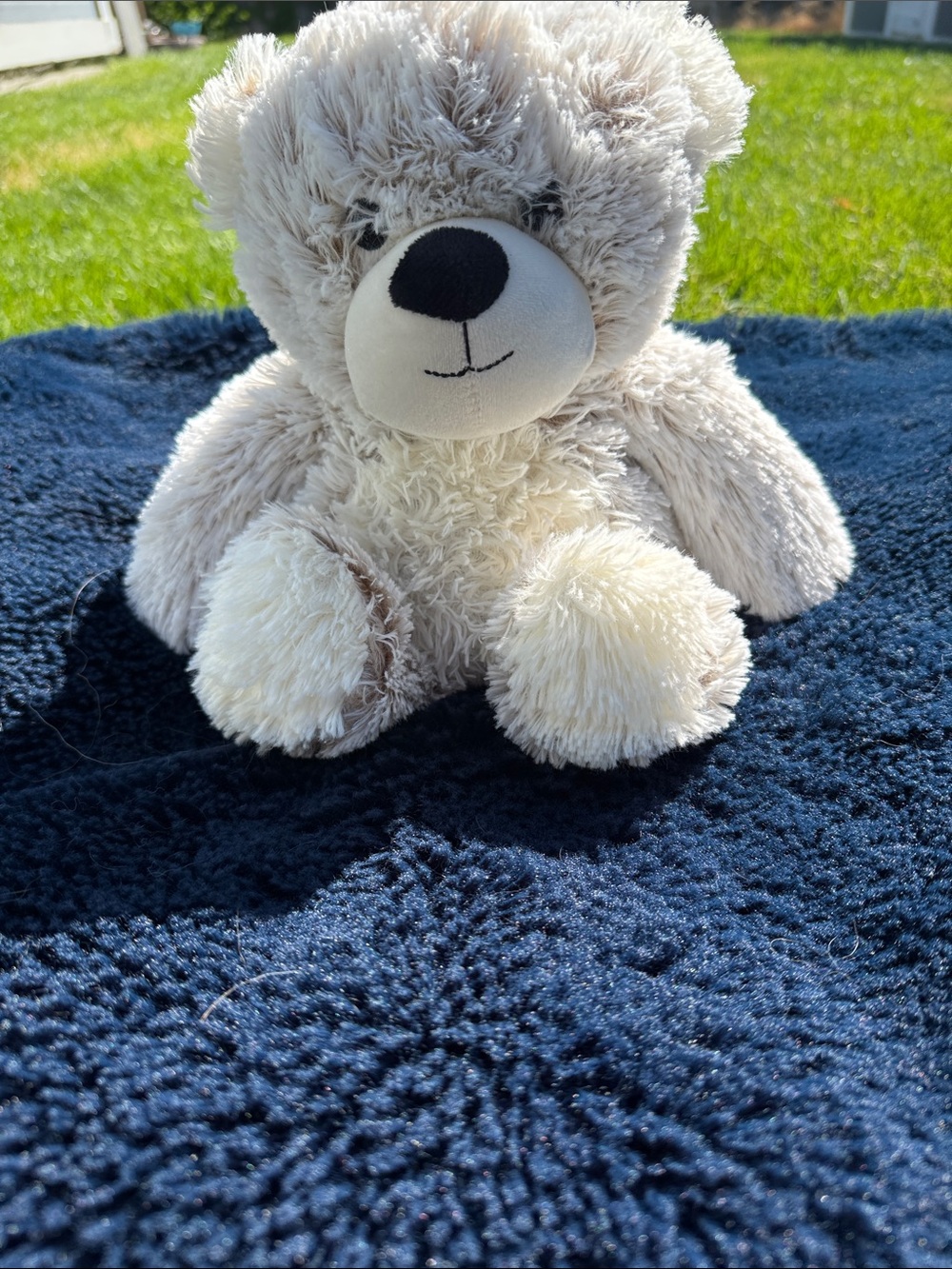 Warmies Bear